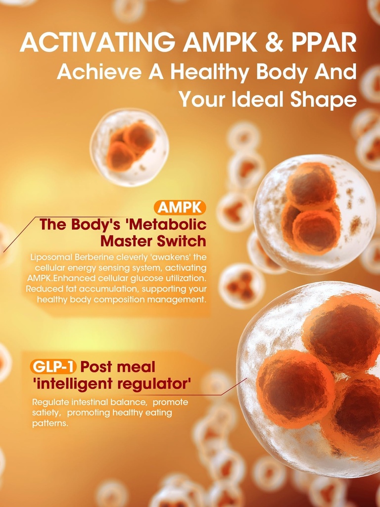 greenpeople-liposomal-berberine-hcl1300m-3.jpg