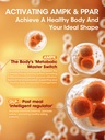 greenpeople-liposomal-berberine-hcl1300m-3.jpg