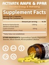 greenpeople-liposomal-berberine-hcl1300m-6.jpg