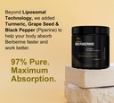 dlnia-liposomal-berberine-supplement-3x--6.jpg