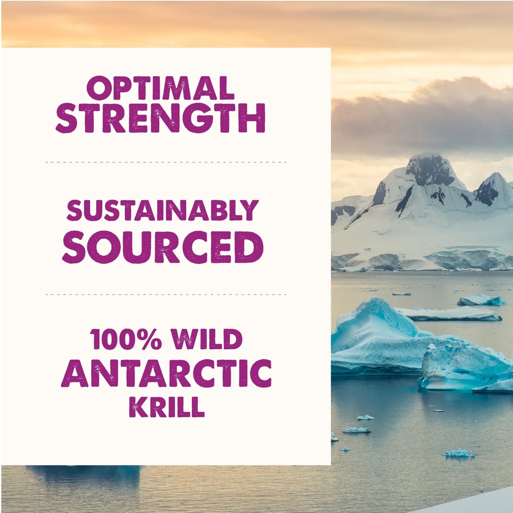 grizzly-wild-antarctic-krill-oil-all-nat-5.jpg