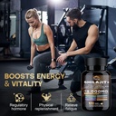 shilajit-capsules-himalayan-organic-shil-4.jpg
