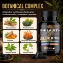 shilajit-capsules-himalayan-organic-shil-3.jpg