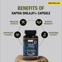 organic-himalayan-shilajit-resin-extract-4.jpg