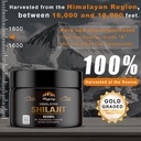 shilajit-pure-himalayan-organic-resin-80-2.jpg