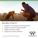 shilajit-pure-himalayan-capsules-20-fulv-3.jpg