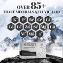 shilajit-tablets-1000-mg-100-himalayan-o-6.jpg
