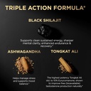 100x-strength-black-shilajit-for-men-w-1-4.jpg