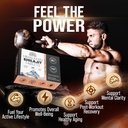 himalayan-shilajit-tablets-pure-gold-gra-3.jpg