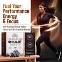 himalayan-shilajit-tablets-pure-gold-gra-2.jpg