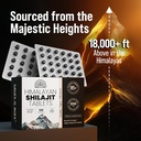 himalayan-shilajit-tablets-pure-gold-gra-6.jpg
