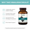 himalaya-shilajit-herbal-energy-suppleme-4.jpg