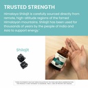 himalaya-shilajit-herbal-energy-suppleme-6.jpg
