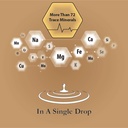 buried-treasure-fulvic-mineral-drops-295-6.jpg