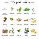 probiotics-for-women-and-men-300-billion-6.jpg