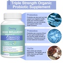 probiotics-for-women-and-men-300-billion-3.jpg