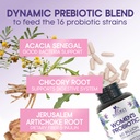 probiotics-for-women-probiotic-blend-50--5.jpg