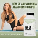 nutrabio-ashwagandha-ksm-66-ashwagandha--2.jpg