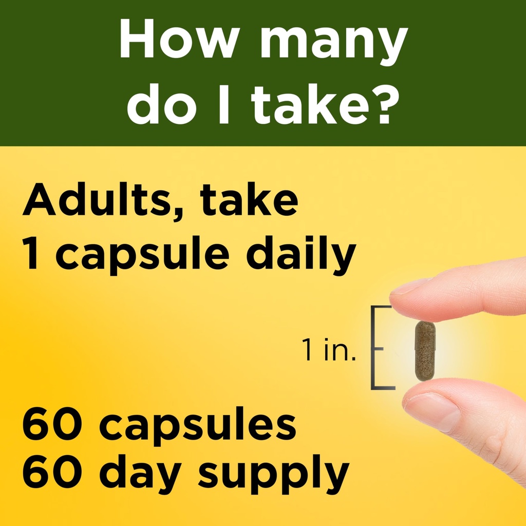 nature-made-ashwagandha-capsules-125mg-f-4.jpg