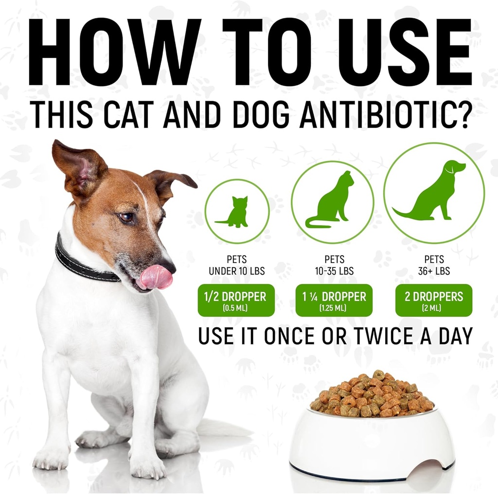 antibiotics-for-dogs-antibiotics-for-cat-4.jpg