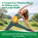 24-in-1-kidney-liver-lymph-cleanse-detox-2.jpg
