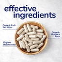 her-own-irish-sea-moss-capsules-burdock--5.jpg
