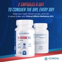 clinical-effects-berberine-hcl-pure-berb-3.jpg