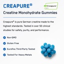 steelfit-creapure-creatine-monohydrate-g-3.jpg