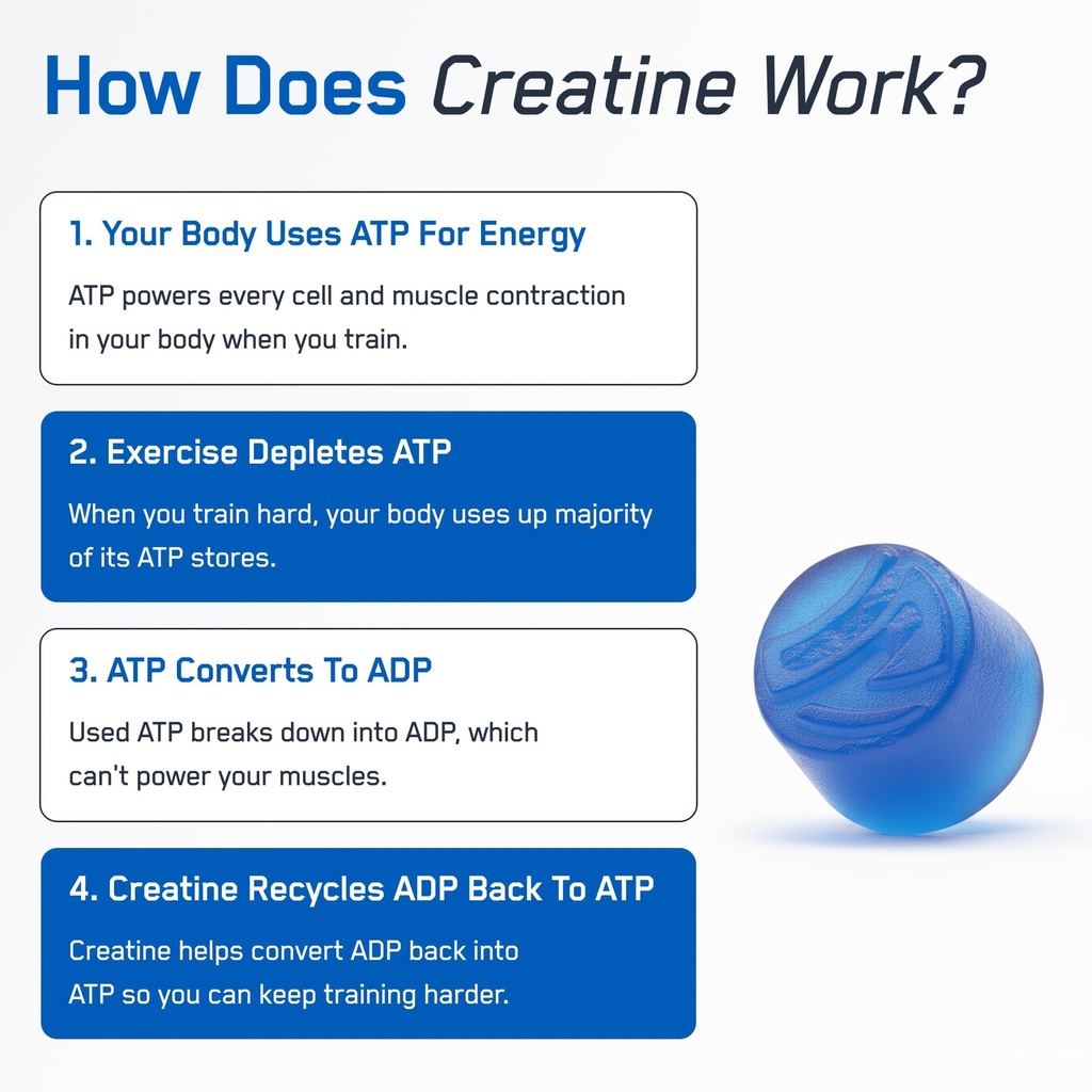 steelfit-creapure-creatine-monohydrate-g-6.jpg