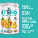 xtend-scivation-eaa-bcaa-powder-muscle-r-4.jpg
