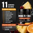venture-pal-sugar-free-7g-bcaa-eaa-powde-3.jpg