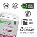 sunwarrior-amino-acids-amino-energy-powd-3.jpg