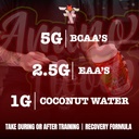 amino-flood-from-bcaa-eaa-recovery-hydra-6.jpg