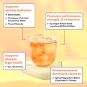 fit-lean-amino-hydration-naturally-sweet-3.jpg