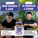 benevolent-l-carnitine-supplement-high-p-4.jpg
