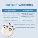 designer-wellness-designer-egg-natural-e-5.jpg