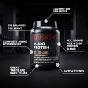 musashi-plant-protein-powder-chocolate-9-4.jpg