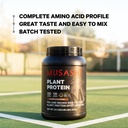 musashi-plant-protein-powder-chocolate-9-6.jpg