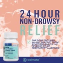 welmate-allergy-relief-loratadine-10-mg--4.jpg