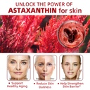 astaxanthin-24mg-premium-astaxanthin-ant-3.jpg