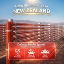 naturalis-new-zealand-astaxanthin-12mg-e-5.jpg