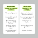 amandean-liposomal-glutathione-supplemen-6.jpg