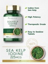 carlyle-sea-kelp-iodine-supplement-225mc-4.jpg