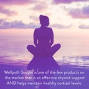 wellpath-wellness-bundle-thyroid-hormone-4.jpg