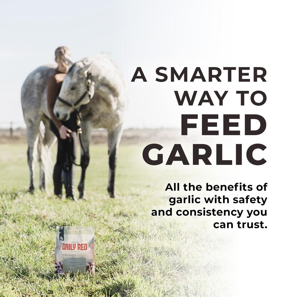 redmond-daily-red-crushed-garlic-horse-m-6.jpg