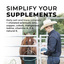 redmond-daily-red-horse-vitamins-and-min-4.jpg