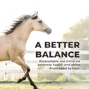 redmond-daily-red-horse-vitamins-and-min-5.jpg