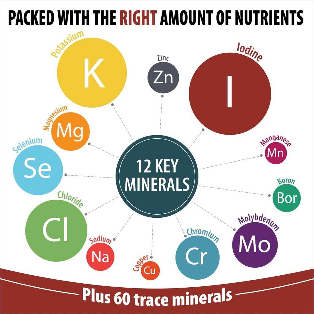 trace-mineral-complex-full-spectrum-mine-2.jpg