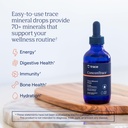 trace-minerals-concentrace-trace-mineral-2.jpg