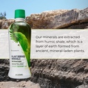 youngevity-plant-derived-liquid-minerals-4.jpg